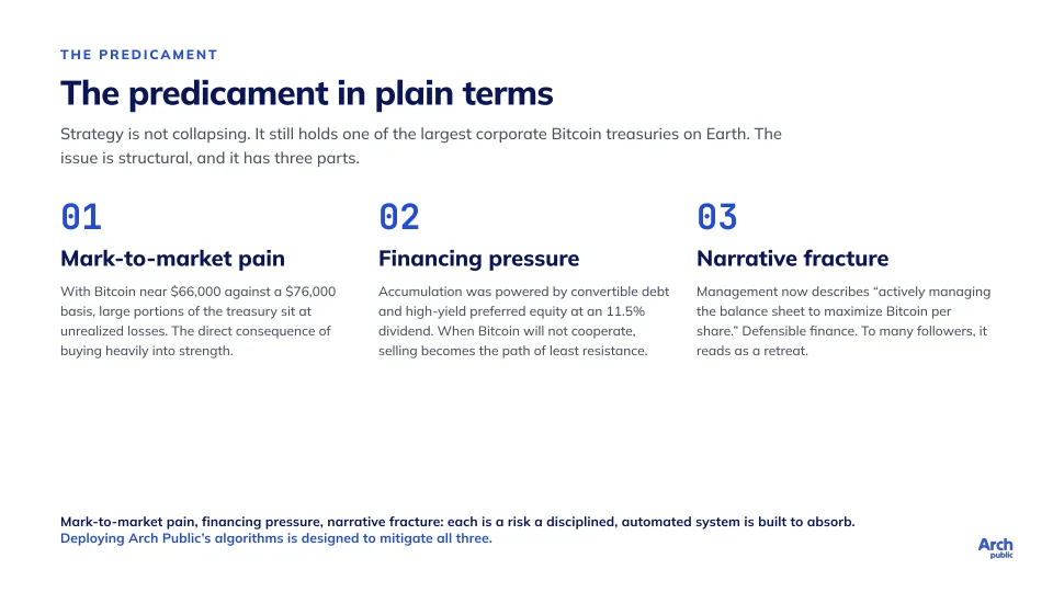 The Pioneer, Revisited, slide 4